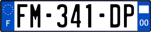 FM-341-DP