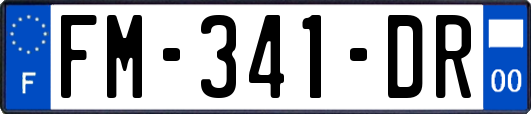 FM-341-DR