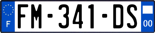 FM-341-DS