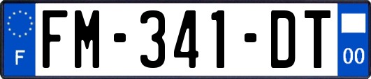 FM-341-DT