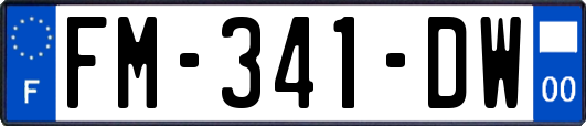 FM-341-DW