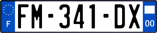 FM-341-DX