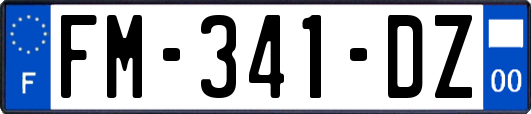 FM-341-DZ