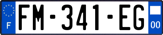 FM-341-EG