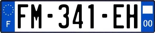 FM-341-EH