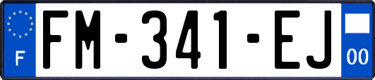 FM-341-EJ