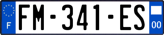 FM-341-ES