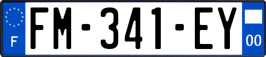 FM-341-EY