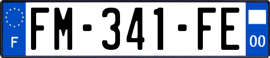 FM-341-FE