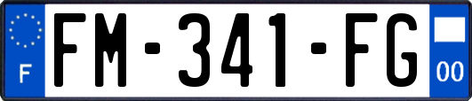 FM-341-FG