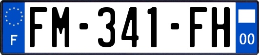 FM-341-FH