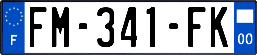FM-341-FK