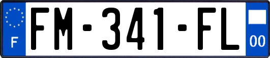 FM-341-FL