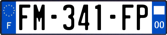FM-341-FP