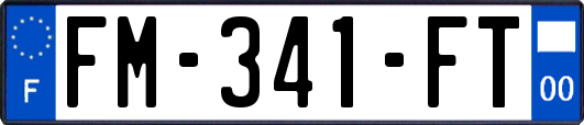 FM-341-FT