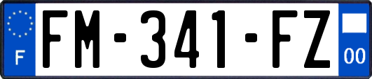 FM-341-FZ