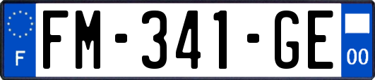 FM-341-GE