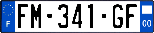FM-341-GF