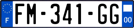 FM-341-GG