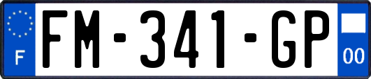 FM-341-GP