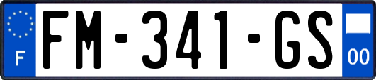 FM-341-GS