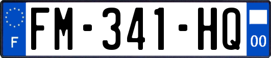 FM-341-HQ