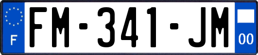 FM-341-JM