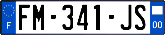 FM-341-JS