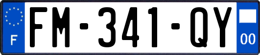 FM-341-QY