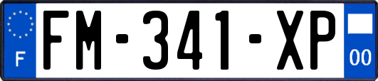 FM-341-XP