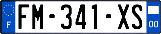 FM-341-XS