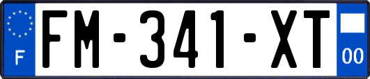 FM-341-XT