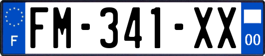 FM-341-XX