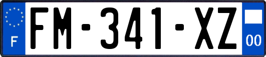 FM-341-XZ
