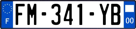 FM-341-YB
