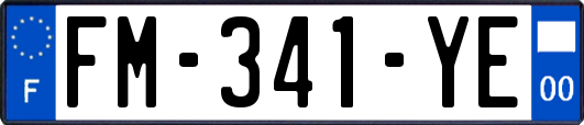 FM-341-YE