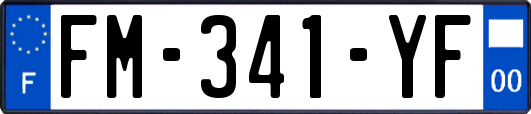 FM-341-YF