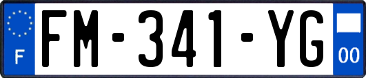FM-341-YG