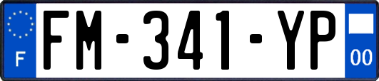 FM-341-YP