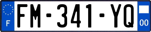 FM-341-YQ