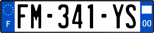 FM-341-YS
