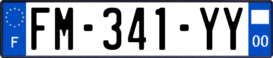 FM-341-YY