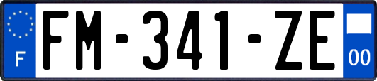 FM-341-ZE