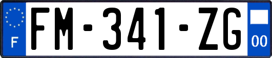FM-341-ZG