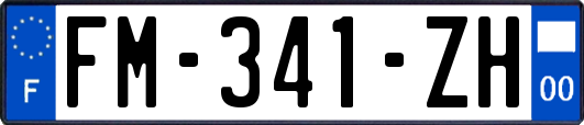 FM-341-ZH