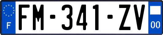 FM-341-ZV