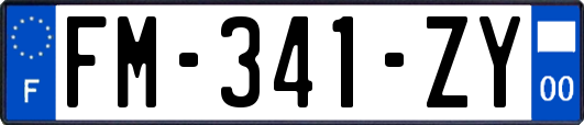FM-341-ZY