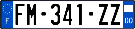 FM-341-ZZ