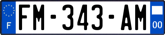 FM-343-AM