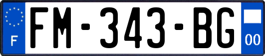 FM-343-BG
